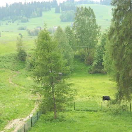 Dom Wypoczynkowy Julia Bialka Tatrzanska Oda fotoğraf
