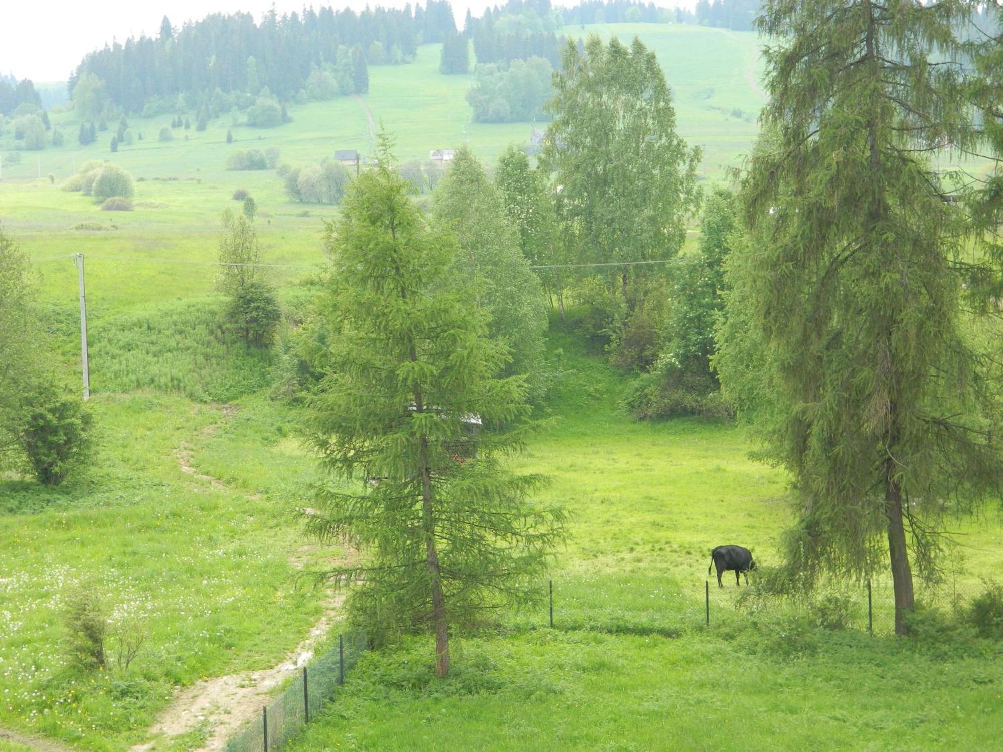Dom Wypoczynkowy Julia Bialka Tatrzanska Oda fotoğraf